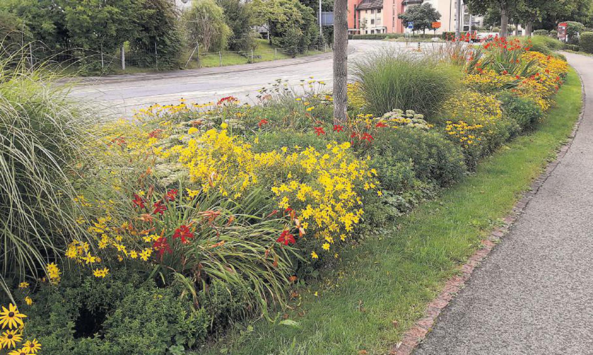 Auch die Blumenrabatten werden ökologischer