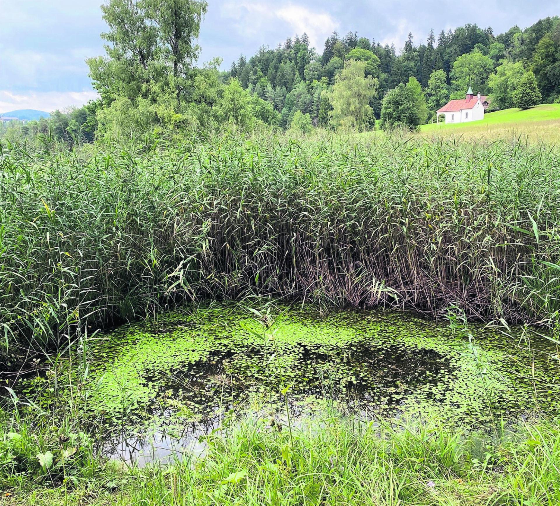 Das Landschaftsentwicklungskonzept bekommt neuen Schwung