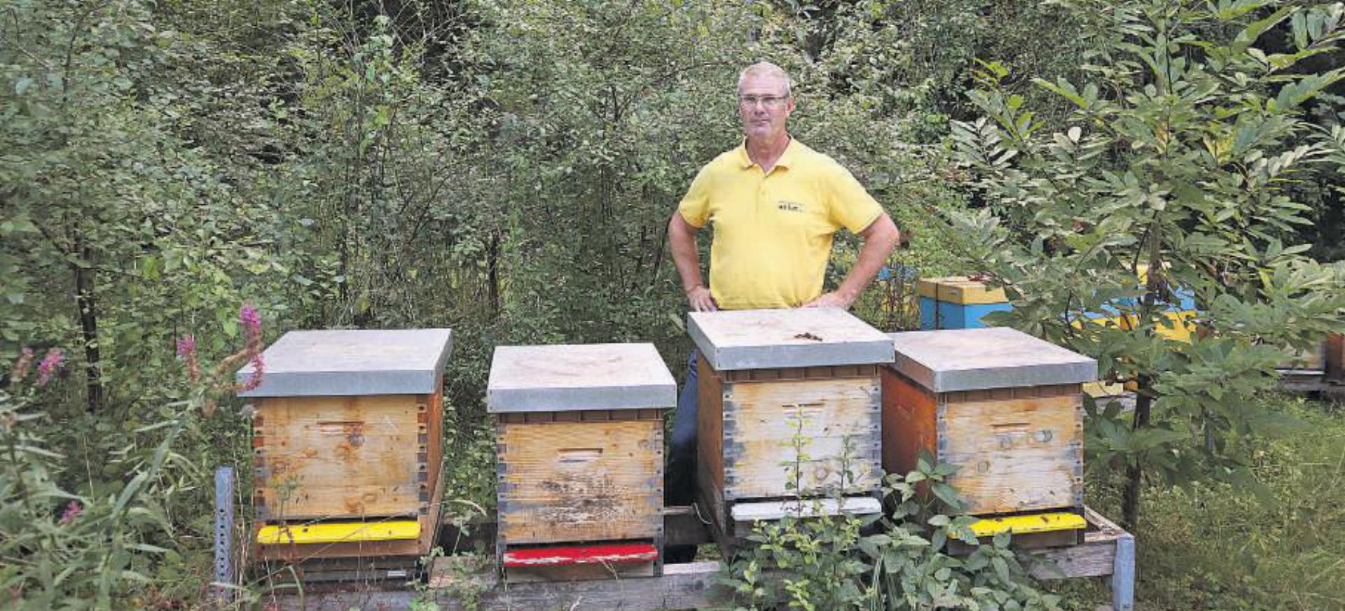 Bienen in Baar: ein Sommer ohne Komplikationen