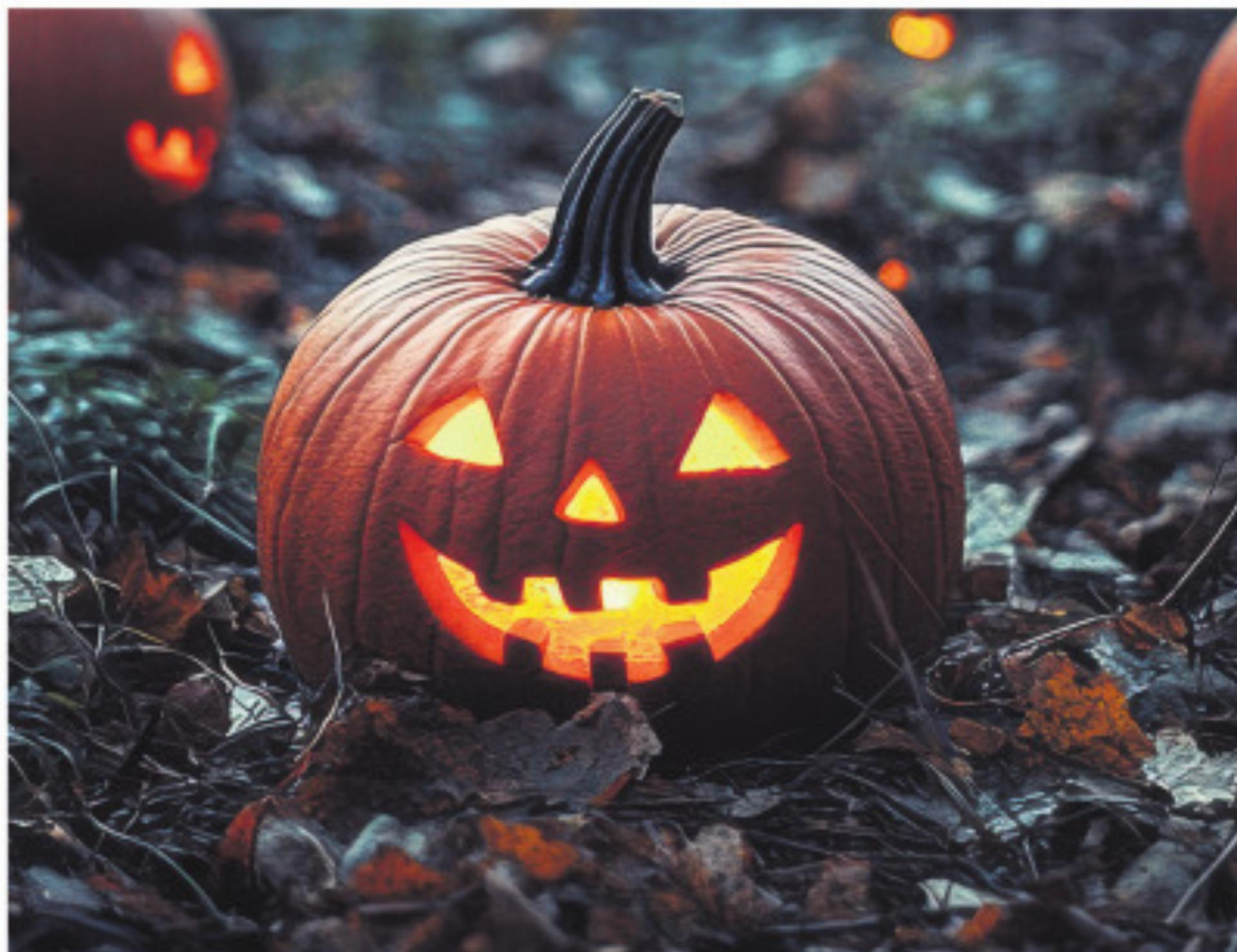 Halloween steht vor der Tür - Das Bild wird blockiert. – Möglicherweise durch einen aktiven Adblocker.