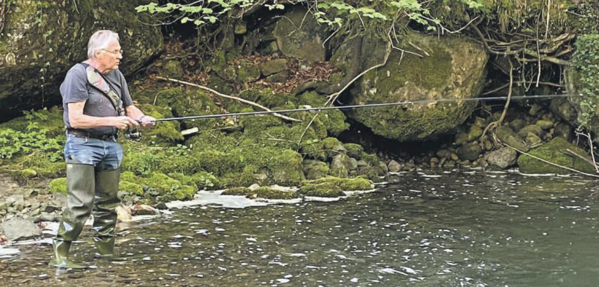 Die Forellen stehen unter starkem Druck