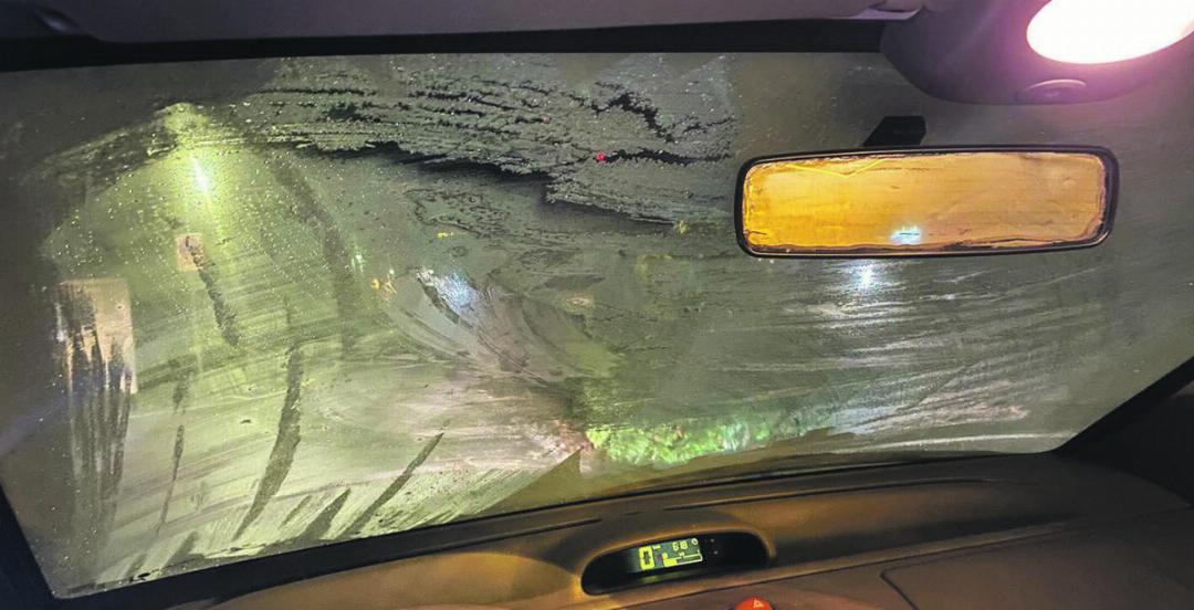 Fotos: zVg Fotos: zVg