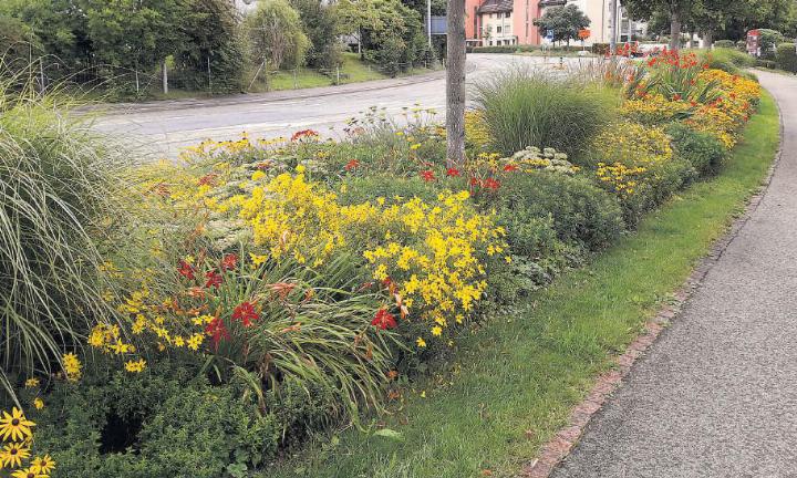 Ob an der Aegeristrasse, der Zugerstrasse oder in Inwil: Blumenrabatten dienen dank ökologisch wertvollen, mehrjährigen Pflanzen dem Naturschutz und der Artenvielfalt. Fotos: Andreas Hüsler