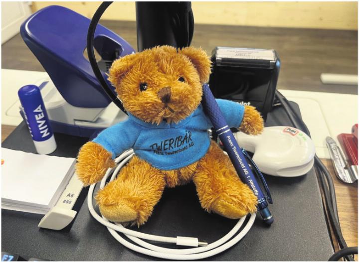 Tweribär im Büro: Computer, Telefon und viele, viele Zettel. Foto: zVg