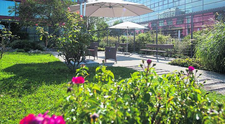 Geschützter Garten im Tagesheim des Pflegezentrum Baar. Foto: zVg