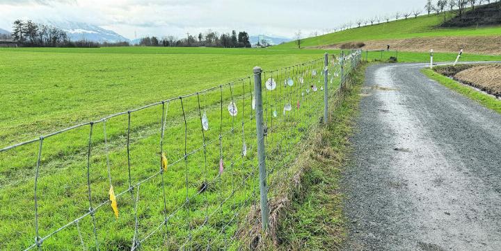 Unzählige bemalte Muscheln hängen am Zaun in Blickensdorf. Fotos: rah