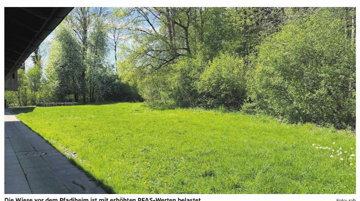 Die Wiese vor dem Pfadiheim ist mit erhöhten PFAS-Werten belastet. Foto: rah