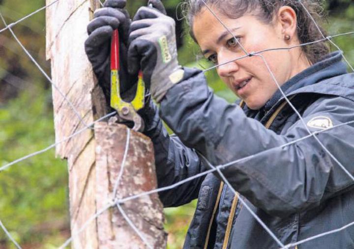 Gemeinsam handeln, Vielfalt schützen, Bergwald stärken! Foto: zVg