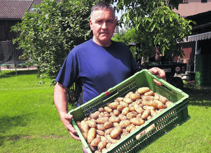 Cornel Andermatt vom Sternenhof zeigt seine neuen Kartoffeln. Fotos: fl