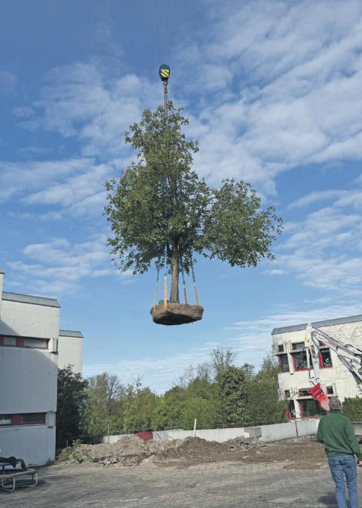 Ungefähr zehn Minuten dauerte die Reise mit dem Pneukran vom oberen auf den unteren Platz. Fotos: rah