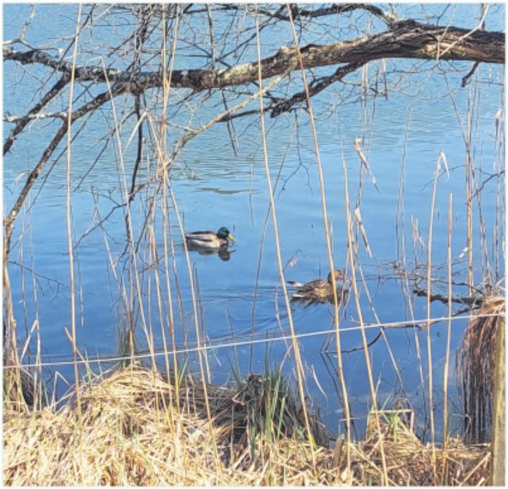 Bitte nicht stören! Foto: zVg