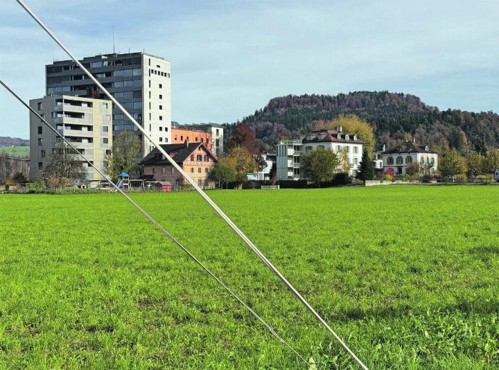 Blick auf die Wiese vor der Obermühle. Diese ist immer noch, bis auf das Mühlegelände im Hintergrund, unbebaut. Foto: mam Blick auf die Wiese vor der Obermühle. Diese ist immer noch, bis auf das Mühlegelände im Hintergrund, unbebaut. Foto: mam