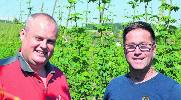 Laden zum Hopfenzupfen ein: Martin Uster, Geschäftsleiter Brauerei Baar, und Hopfenbauer Markus Reutimann, Unterstammheim. Foto: zVg