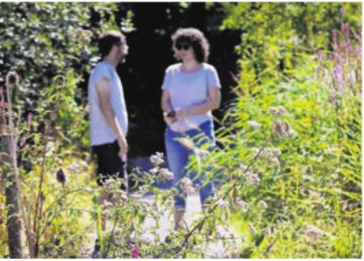 Naturnahe Wiesen fördern die Biodiversität. Foto: ZHAW