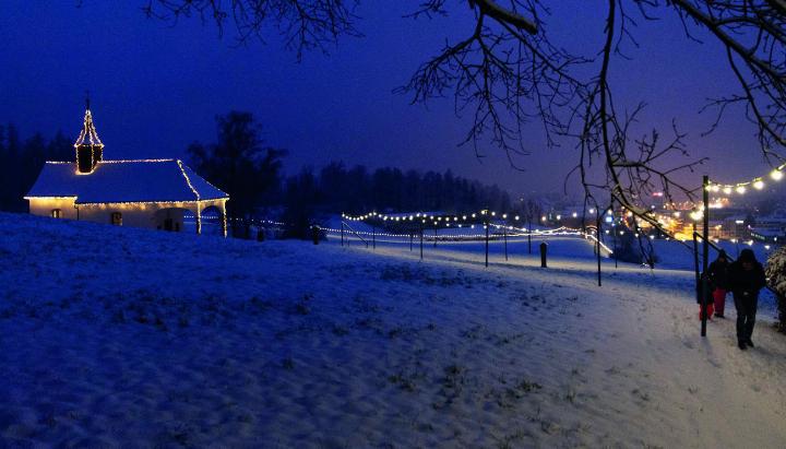 Rund 1’200 LED-Lampen beleuchten jedes Jahr in der Weihnachtszeit einen knapp 1,5 Kilometer langen Weg in der Wishalde am Fuss der Baarburg. Foto: zVg