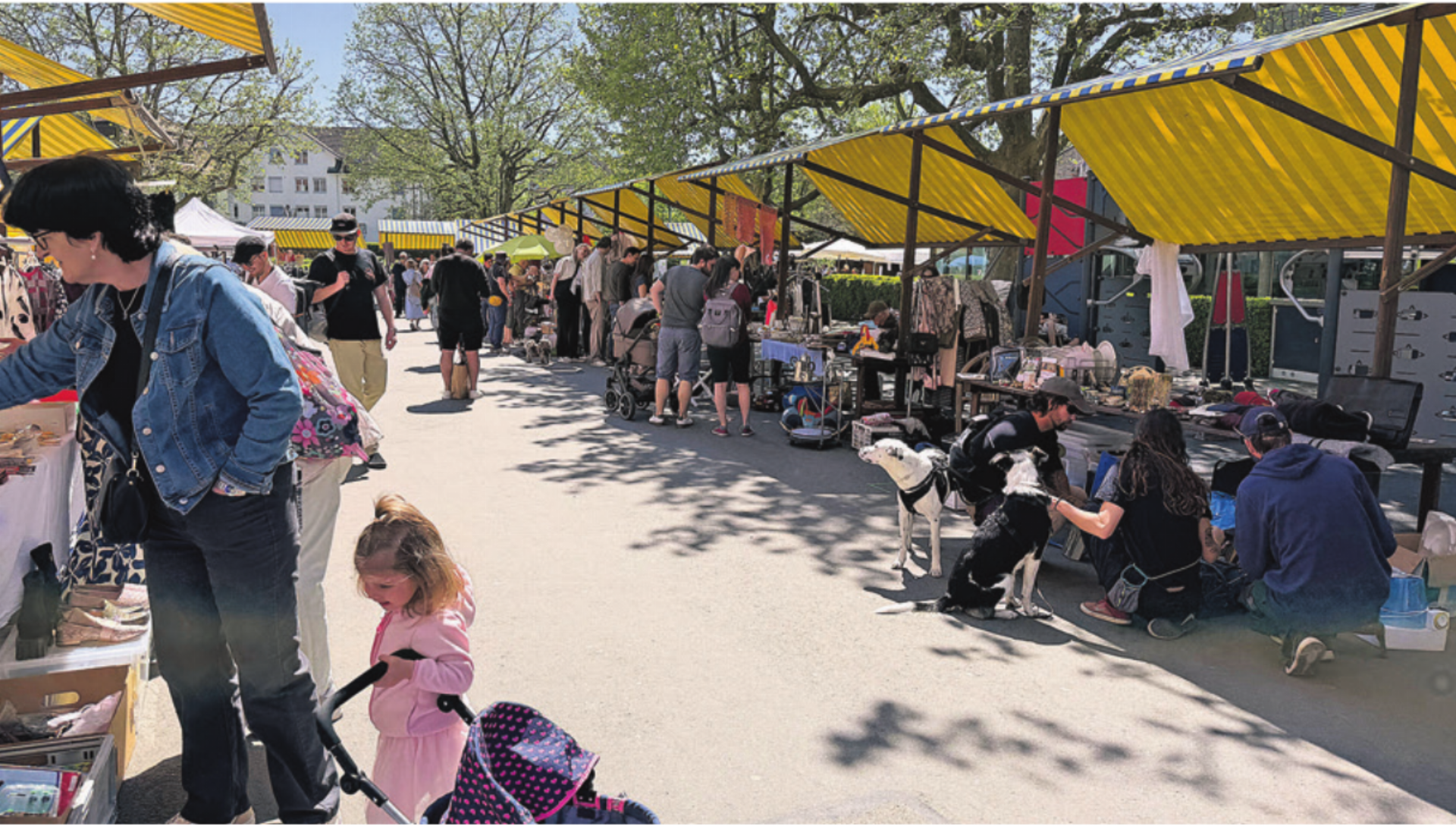Durchzogener Auftakt in die Marktsaison - Das Bild wird blockiert. – Möglicherweise durch einen aktiven Adblocker.