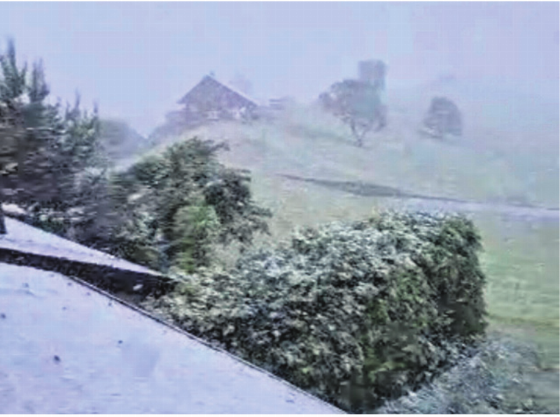 Am Dienstag, 12. Mai staunten die Allenwindner nicht schlecht, als sie aus dem Fenster schauten: Grosse Flocken zuckerten die Umgebung weiss. Foto: zVg - Das Bild wird blockiert. – Möglicherweise durch einen aktiven Adblocker.