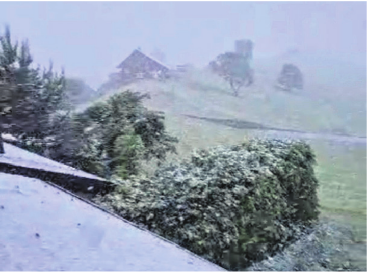 Am Dienstag, 12. Mai staunten die Allenwindner nicht schlecht, als sie aus dem Fenster schauten: Grosse Flocken zuckerten die Umgebung weiss. Foto: zVg