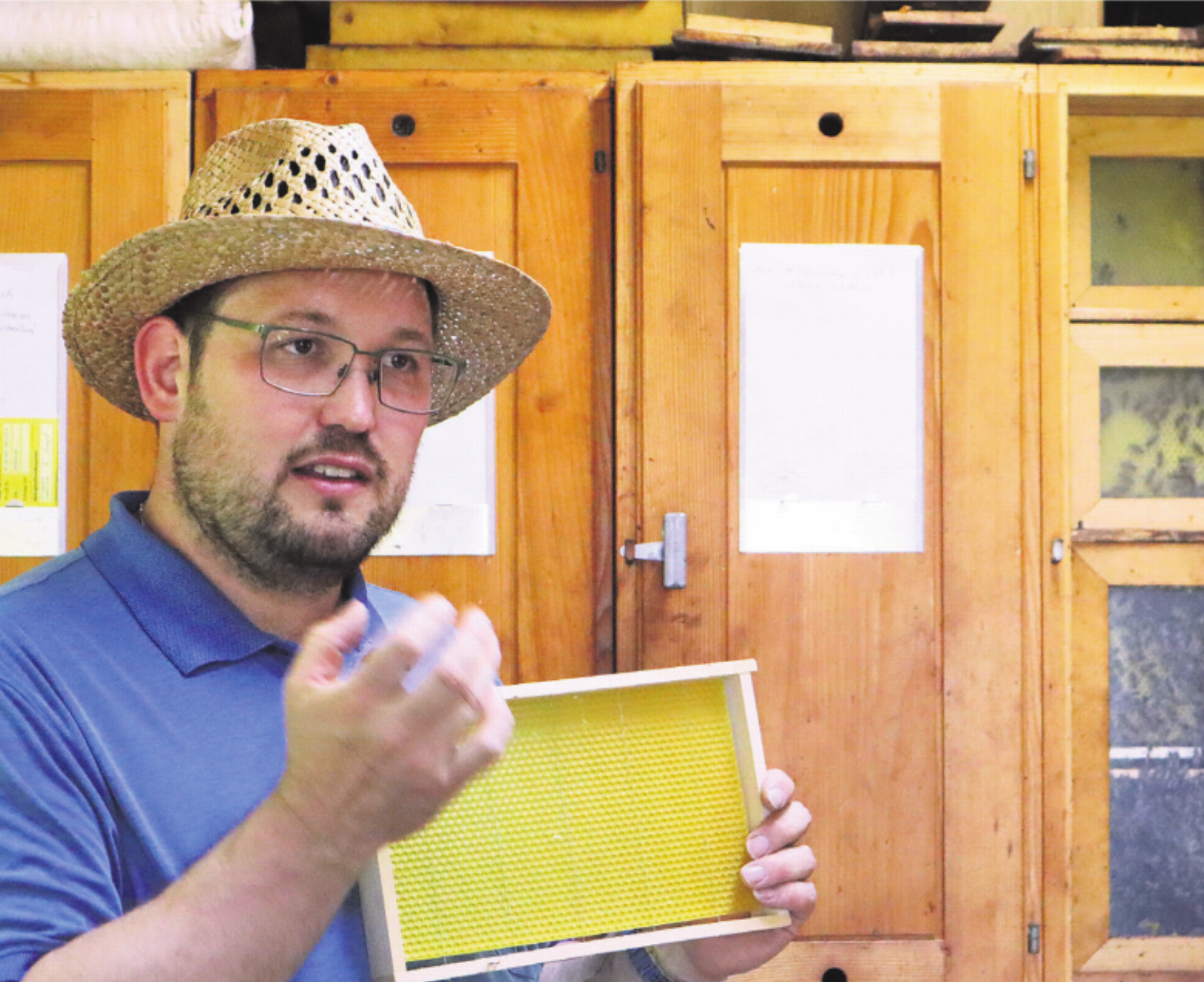 Bienen brauchen unseren Schutz - Das Bild wird blockiert. – Möglicherweise durch einen aktiven Adblocker.