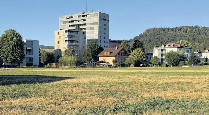Diese Wiese könnte dereinst überbaut werden. Das Zuger Verwaltungsgericht und später auch das Bundesgericht hatten eine Beschwerde von Anwohnenden abgelehnt. Wann es bei diesem Projekt weitergeht, ist unklar. Foto: mam